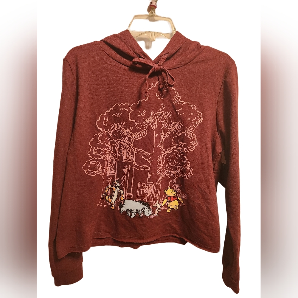 Winnie the Pooh Maroon Sweater
